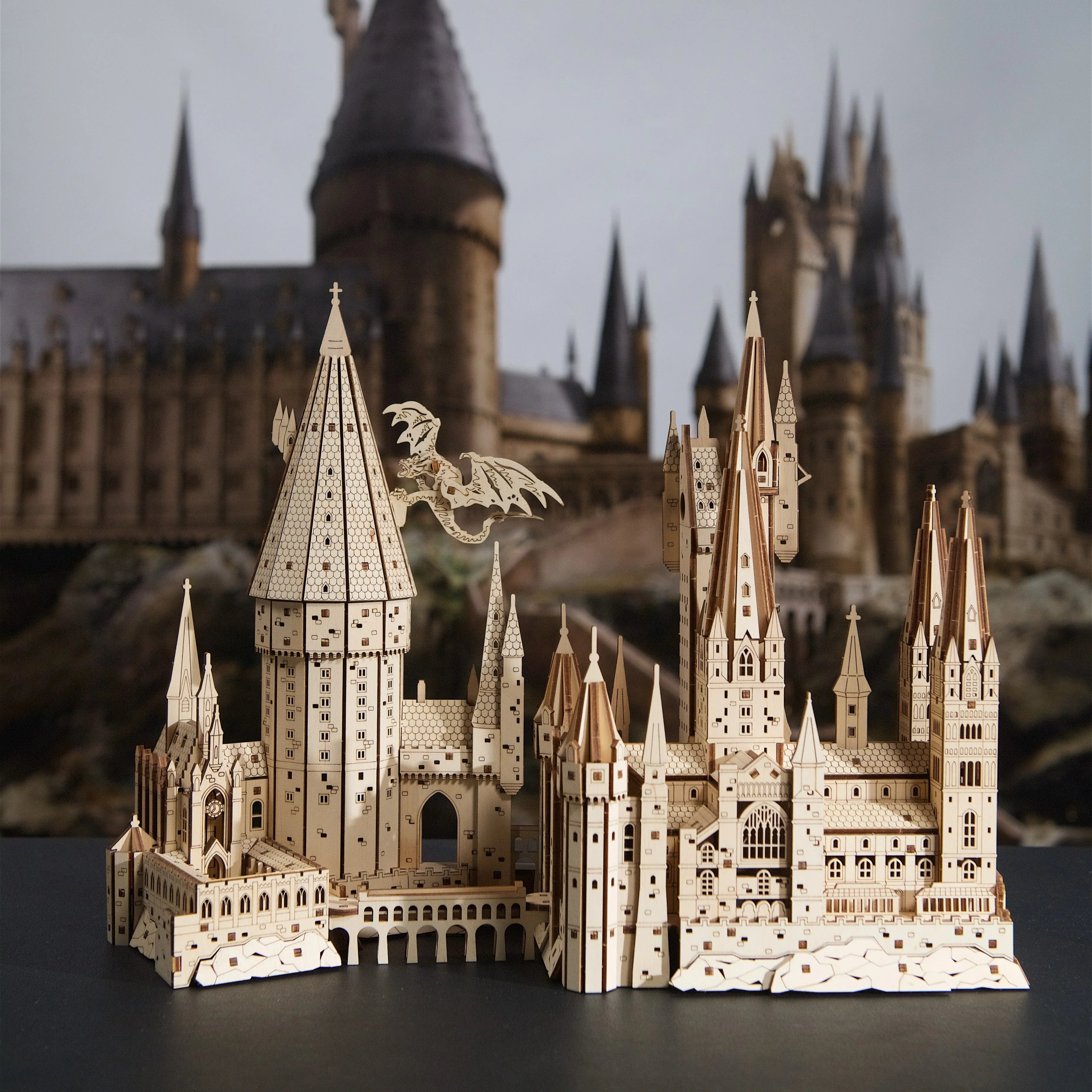 Harry Potter™