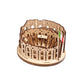 Rome Colosseum