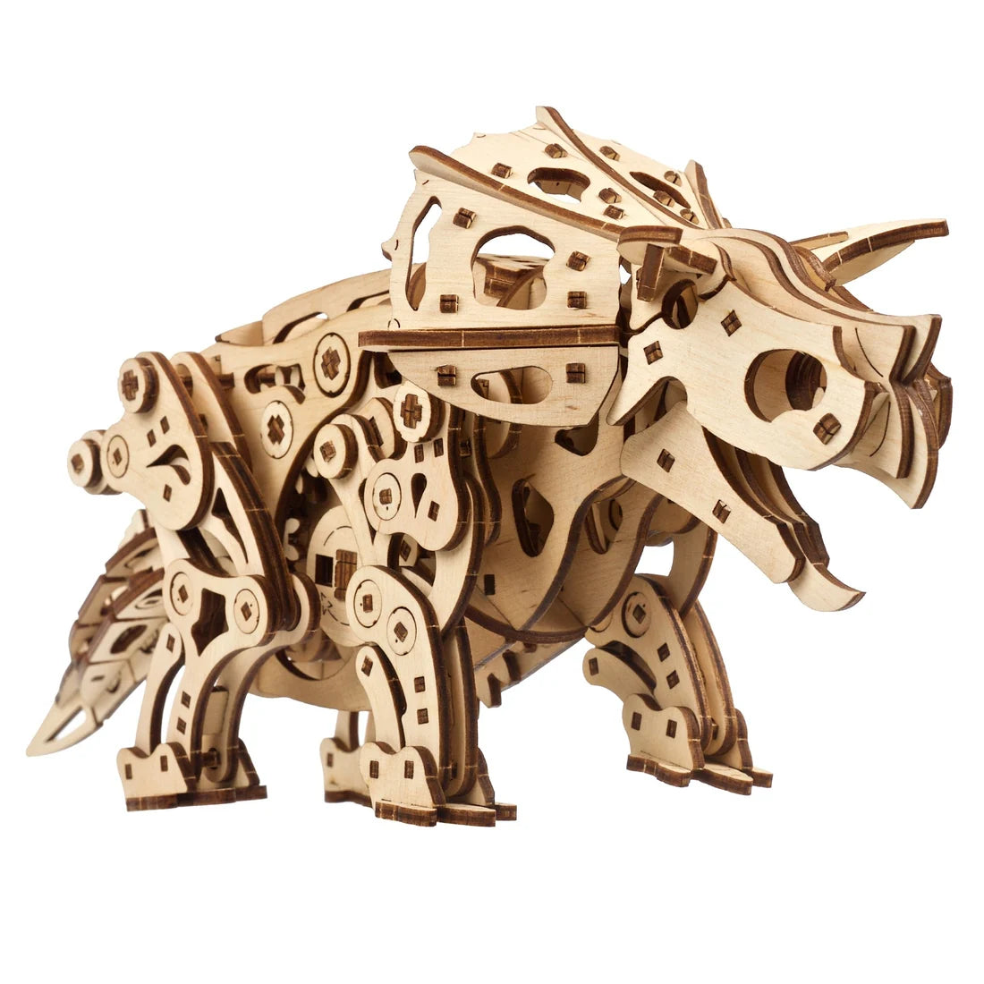 Triceratops