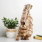 Hurdy-Gurdy