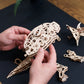 Triceratops