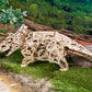 Triceratops