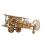 Mini Biplane