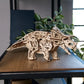 Triceratops